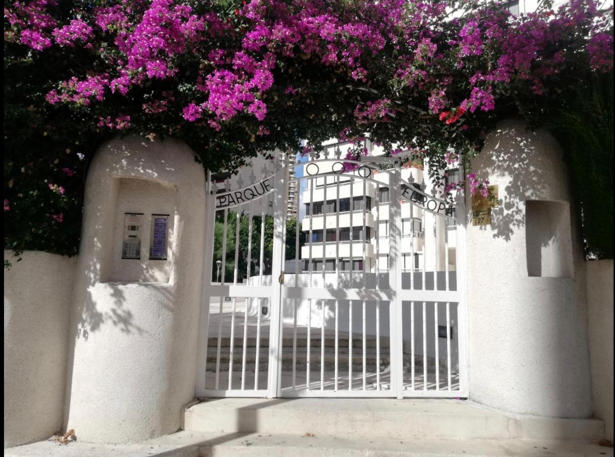 Apartamento Coffee Beach En Parque Europa Benidorm Exteriör bild