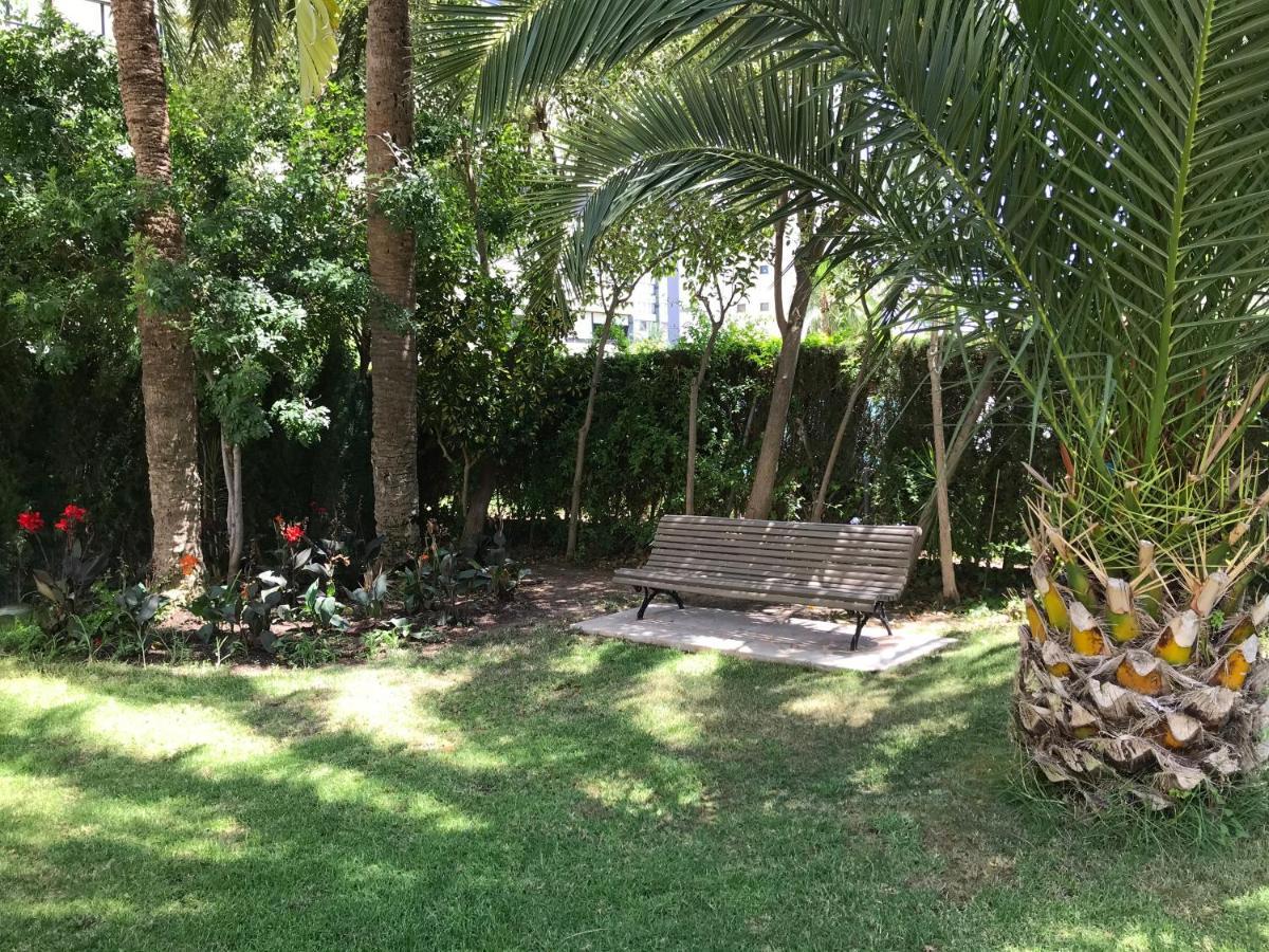 Apartamento Coffee Beach En Parque Europa Benidorm Exteriör bild
